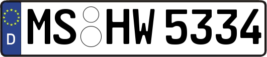 MS-HW5334