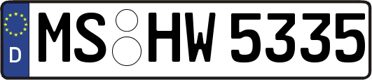 MS-HW5335