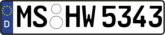 MS-HW5343