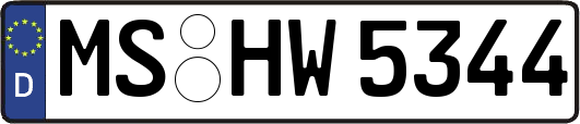 MS-HW5344