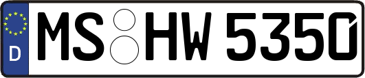 MS-HW5350
