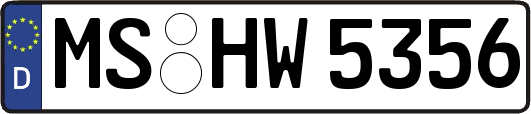 MS-HW5356