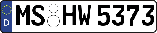 MS-HW5373