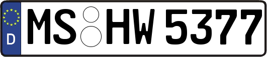 MS-HW5377