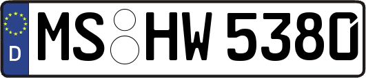 MS-HW5380