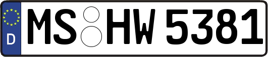 MS-HW5381