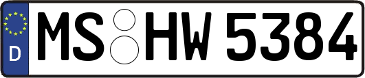 MS-HW5384