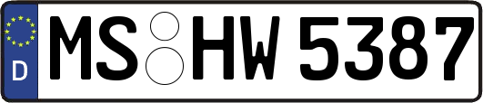 MS-HW5387