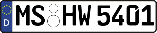MS-HW5401