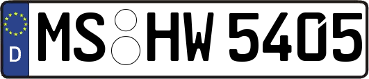 MS-HW5405