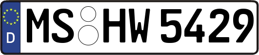 MS-HW5429