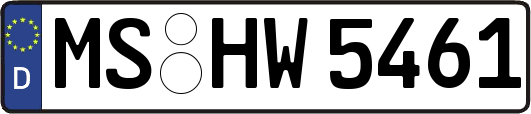 MS-HW5461
