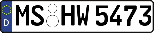 MS-HW5473