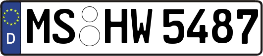 MS-HW5487