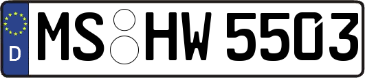 MS-HW5503