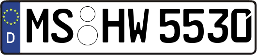 MS-HW5530