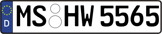 MS-HW5565