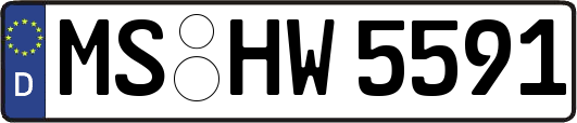 MS-HW5591