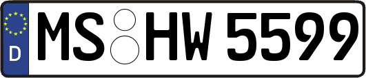 MS-HW5599