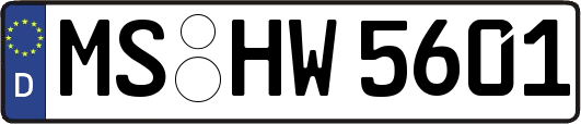 MS-HW5601