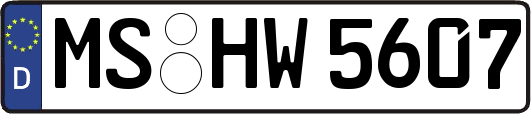 MS-HW5607