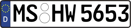MS-HW5653