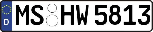 MS-HW5813
