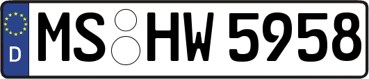 MS-HW5958