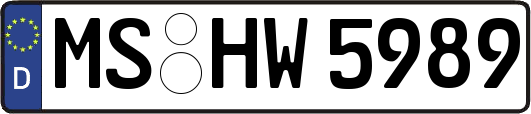 MS-HW5989