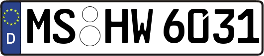 MS-HW6031