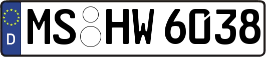 MS-HW6038