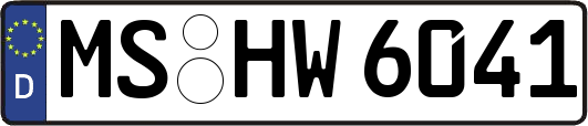 MS-HW6041