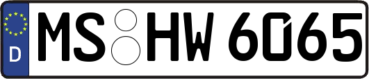 MS-HW6065