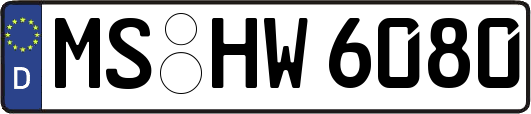 MS-HW6080