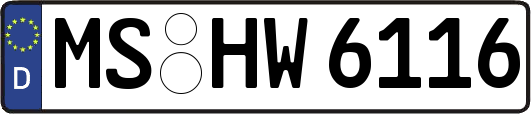 MS-HW6116