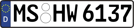 MS-HW6137