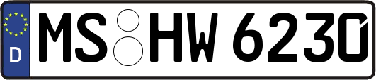 MS-HW6230