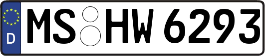 MS-HW6293