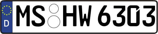 MS-HW6303