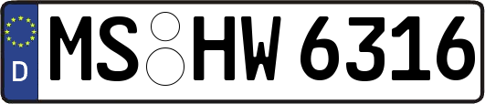 MS-HW6316