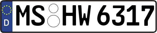 MS-HW6317