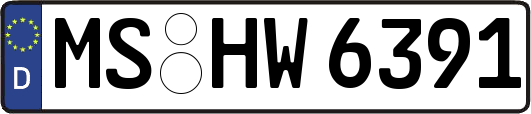 MS-HW6391