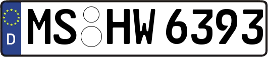 MS-HW6393