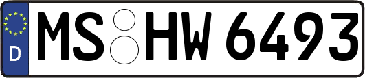 MS-HW6493