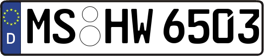 MS-HW6503