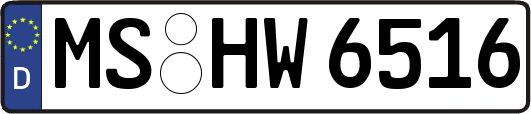 MS-HW6516
