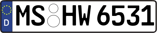 MS-HW6531