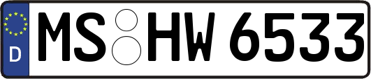 MS-HW6533