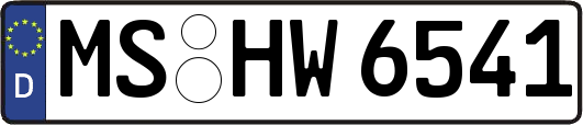 MS-HW6541