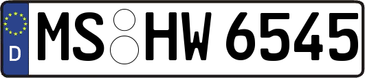 MS-HW6545